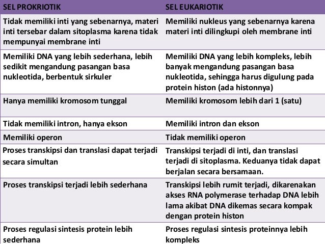  Sel  eukariotik dan  prokariotik