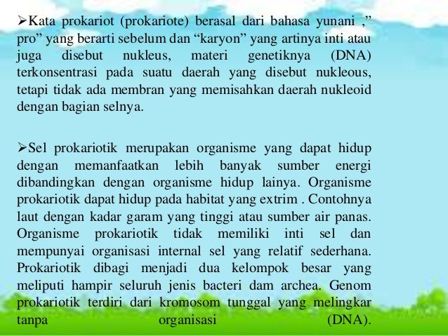 Sel Eukariotik Dan Prokariotik Sel Eukariotik Dan Prokariotik