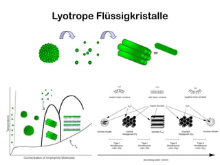 =
Lyotrope Flüssigkristalle
 