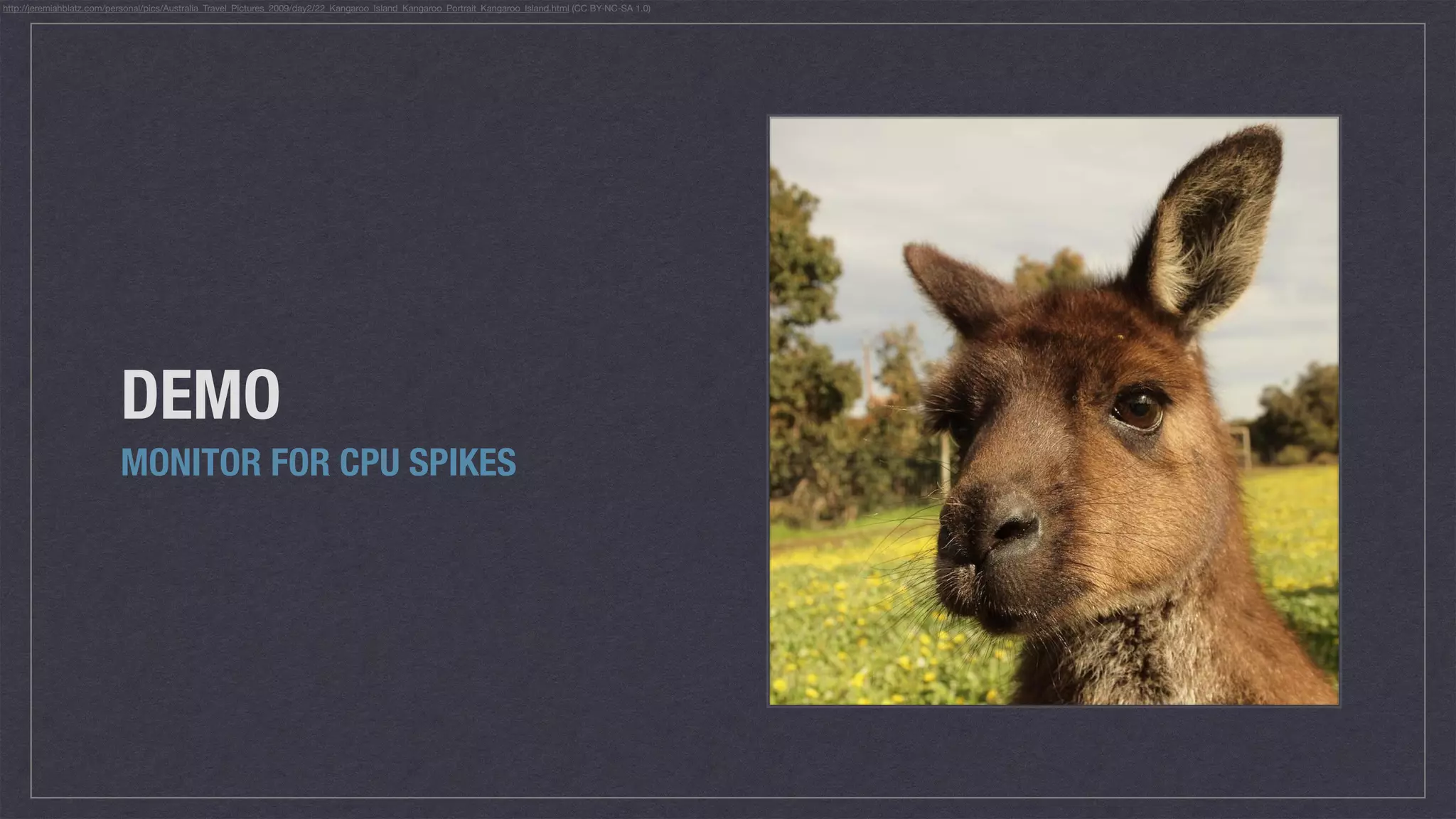 DEMO
MONITOR FOR CPU SPIKES
http://jeremiahblatz.com/personal/pics/Australia_Travel_Pictures_2009/day2/22_Kangaroo_Island_Kangaroo_Portrait_Kangaroo_Island.html (CC BY-NC-SA 1.0)
 