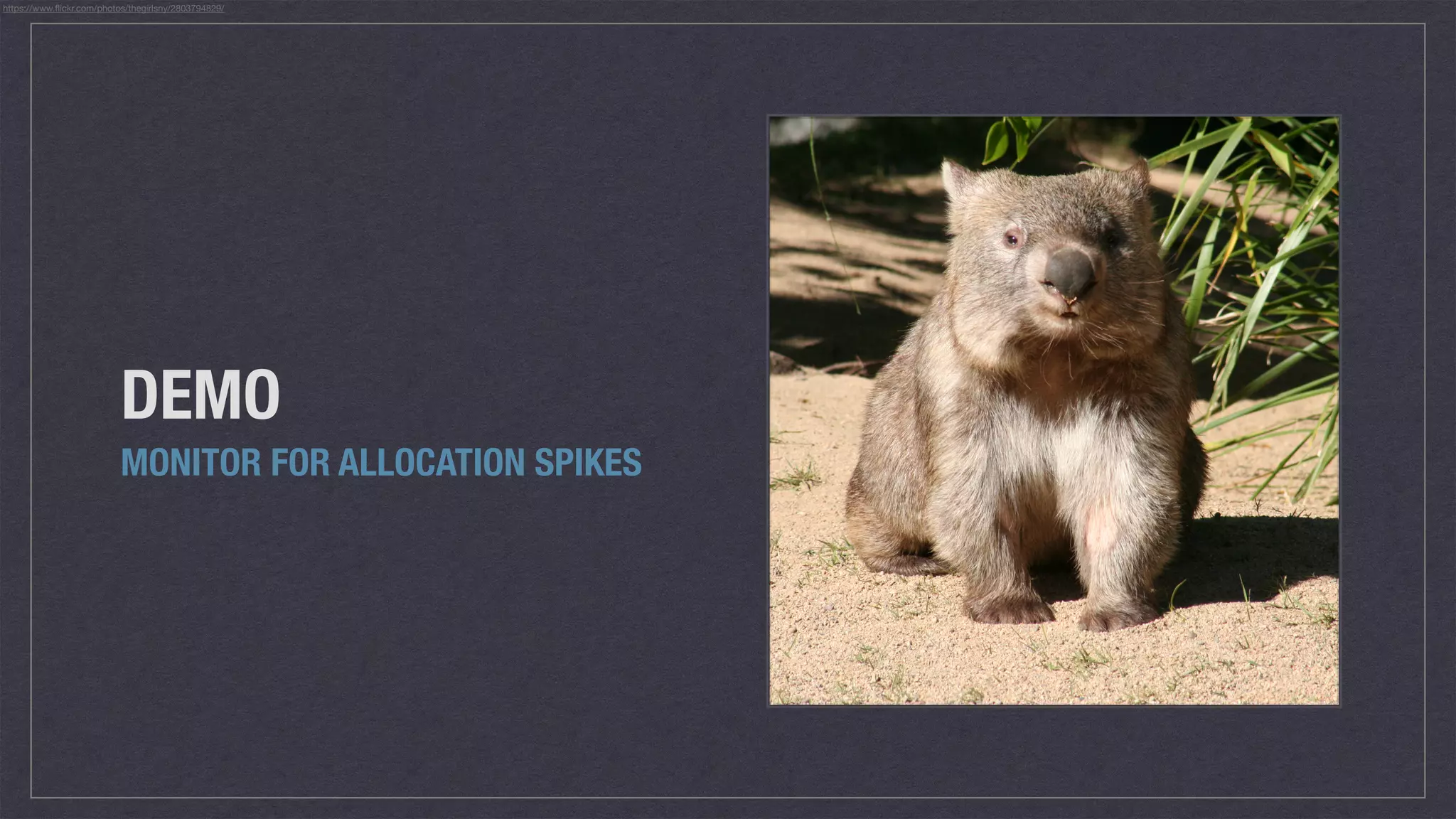 DEMO
MONITOR FOR ALLOCATION SPIKES
https://www.ﬂickr.com/photos/thegirlsny/2803794829/
 