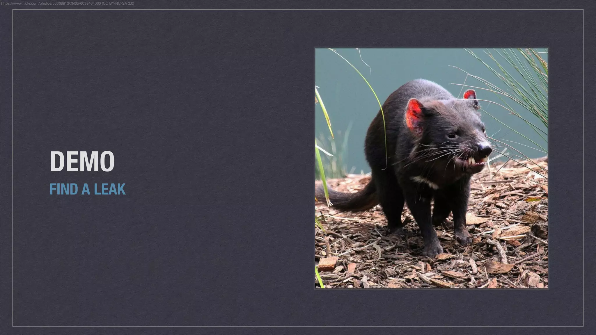 DEMO
FIND A LEAK
https://www.ﬂickr.com/photos/53368913@N05/6038464060 (CC BY-NC-SA 2.0)
 