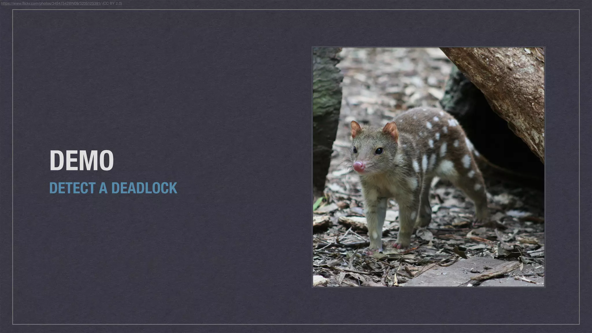 DEMO
DETECT A DEADLOCK
https://www.ﬂickr.com/photos/34547542@N08/3205125391/ (CC BY 2.0)
 