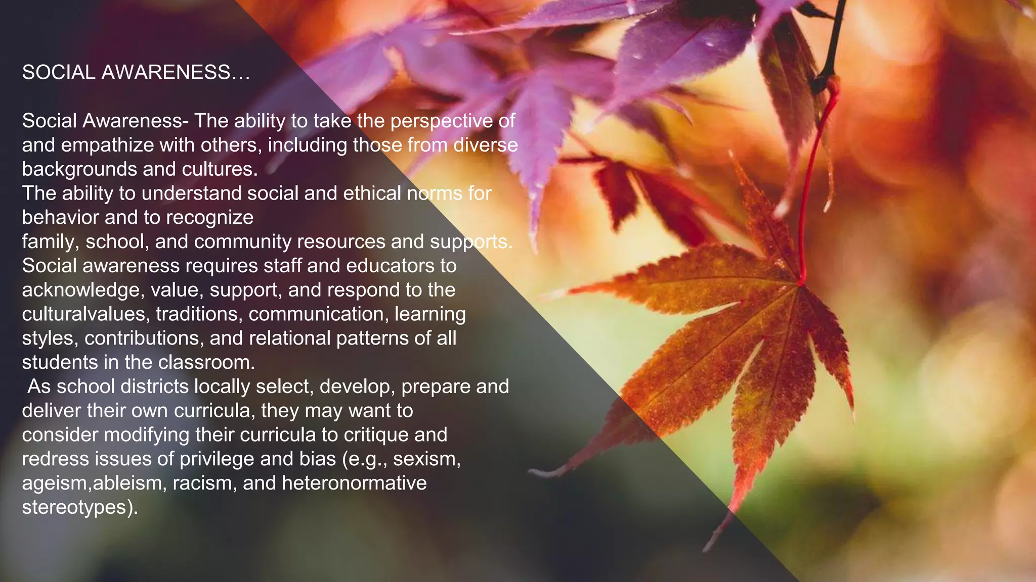 SOCIAL AWARENESS…
Social Awareness- The ability to take the perspective of
and empathize with others, including those from diverse
backgrounds and cultures.
The ability to understand social and ethical norms for
behavior and to recognize
family, school, and community resources and supports.
Social awareness requires staff and educators to
acknowledge, value, support, and respond to the
culturalvalues, traditions, communication, learning
styles, contributions, and relational patterns of all
students in the classroom.
As school districts locally select, develop, prepare and
deliver their own curricula, they may want to
consider modifying their curricula to critique and
redress issues of privilege and bias (e.g., sexism,
ageism,ableism, racism, and heteronormative
stereotypes).
 