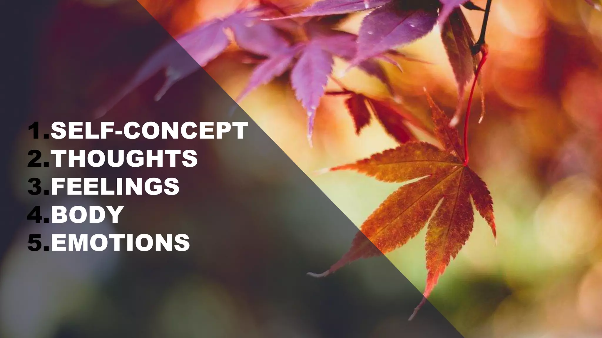 1.SELF-CONCEPT
2.THOUGHTS
3.FEELINGS
4.BODY
5.EMOTIONS
 