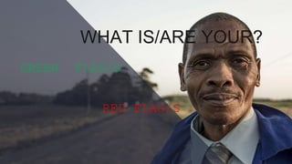 RED FLAG/S
GREEN FLAG/S
WHAT IS/ARE YOUR?
 