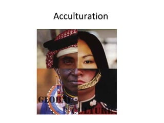 Acculturation
 
