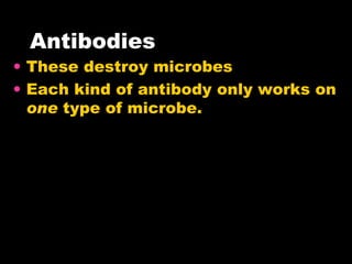 Antibodies These destroy microbes Each kind of antibody only works on  one  type of microbe. 