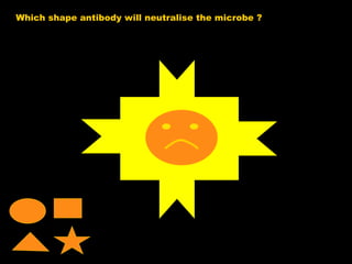 Which shape antibody will neutralise the microbe ? 