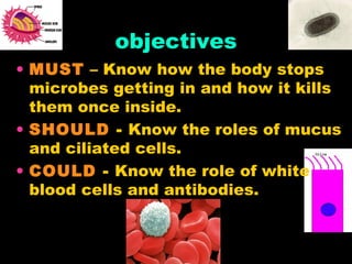 objectives MUST  – Know how the body stops microbes getting in and how it kills them once inside. SHOULD  -  Know the roles of mucus and ciliated cells. COULD  -  Know the role of white blood cells and antibodies. 