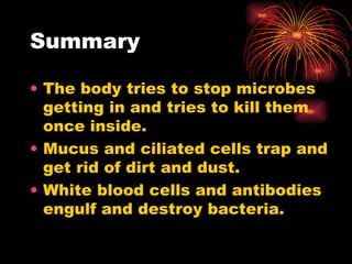 Summary The body tries to stop microbes getting in and tries to kill them once inside. Mucus and ciliated cells trap and get rid of dirt and dust. White blood cells and antibodies engulf and destroy bacteria. 