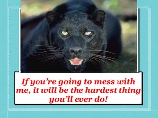 If you’re going to mess with me, it will be the hardest thing you’ll ever do! 