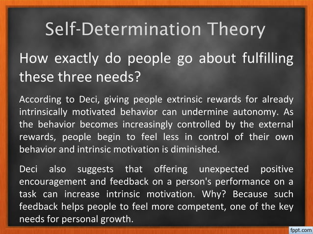 Self determination theory