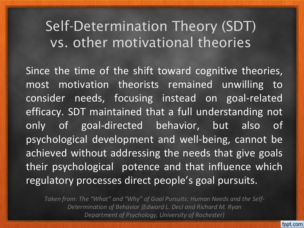 Self determination theory