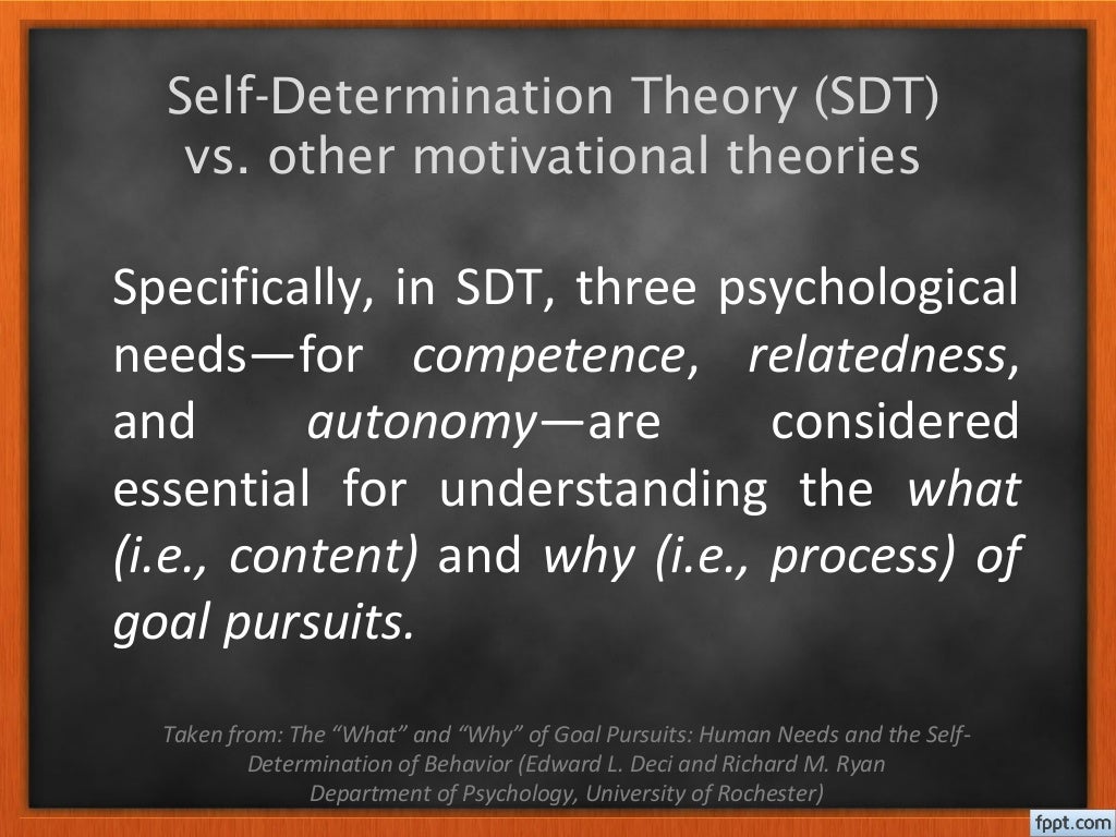 Self determination theory