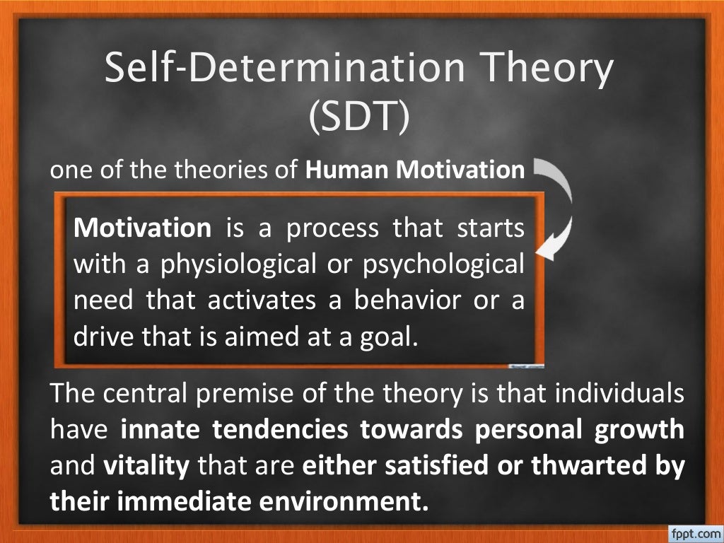 Self determination theory