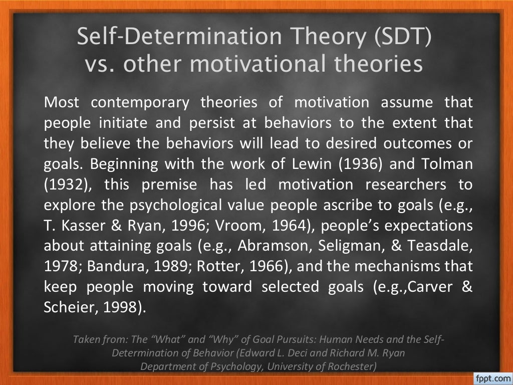 Self determination theory
