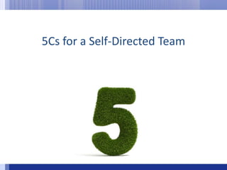 5Cs for a Self-Directed Team