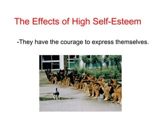 The Effects of High Self-Esteem
-They have the courage to express themselves.
 