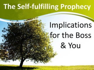 Implications
for the Boss
& You
The Self-fulfilling Prophecy
 
