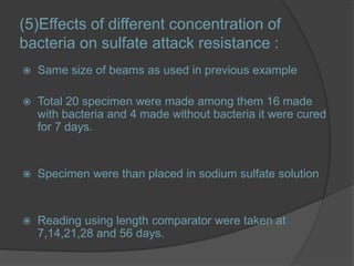 (5)Effects of different concentration of
bacteria on sulfate attack resistance :
 Same size of beams as used in previous ...