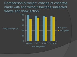 Comparison of weight change of concrete
made with and without bacteria subjected
freeze and thaw action:
0
20
40
60
80
100...