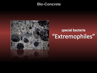 Self-Healing Concrete