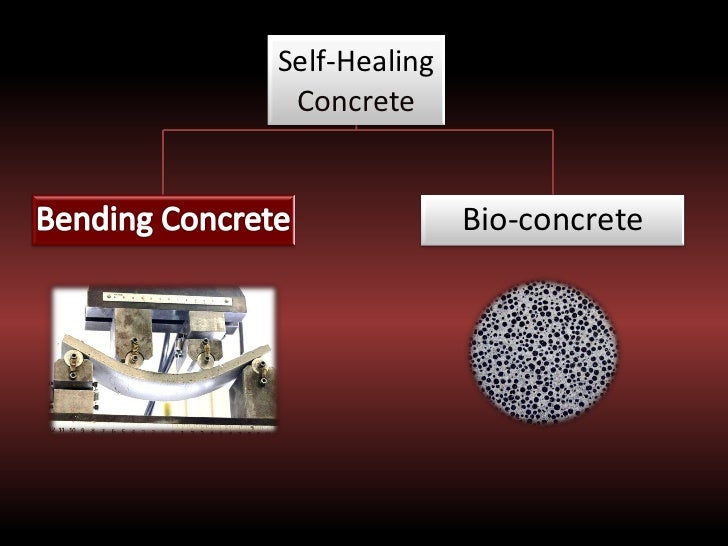 SelfHealing Concrete