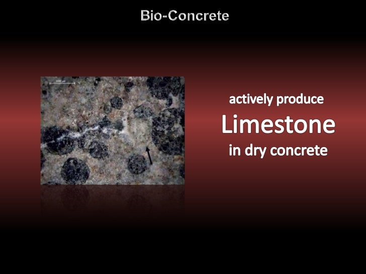 SelfHealing Concrete