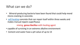 What can we do?
• Mineral-producing bacteria have been found that could help mend
micro-cracking in concrete.
• self-healing concrete that can repair itself within three weeks and
makes manual repairs superfluous
mixing genus Bacillus with healing agent
• capable of surviving in an extreme alkaline environment
• Cement and water have a pH value of up to 13
 