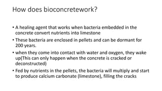 How does bioconcretework?
• A healing agent that works when bacteria embedded in the
concrete convert nutrients into limestone
• These bacteria are enclosed in pellets and can be dormant for
200 years.
• when they come into contact with water and oxygen, they wake
up(This can only happen when the concrete is cracked or
deconstructed)
• Fed by nutrients in the pellets, the bacteria will multiply and start
to produce calcium carbonate (limestone), filling the cracks
 