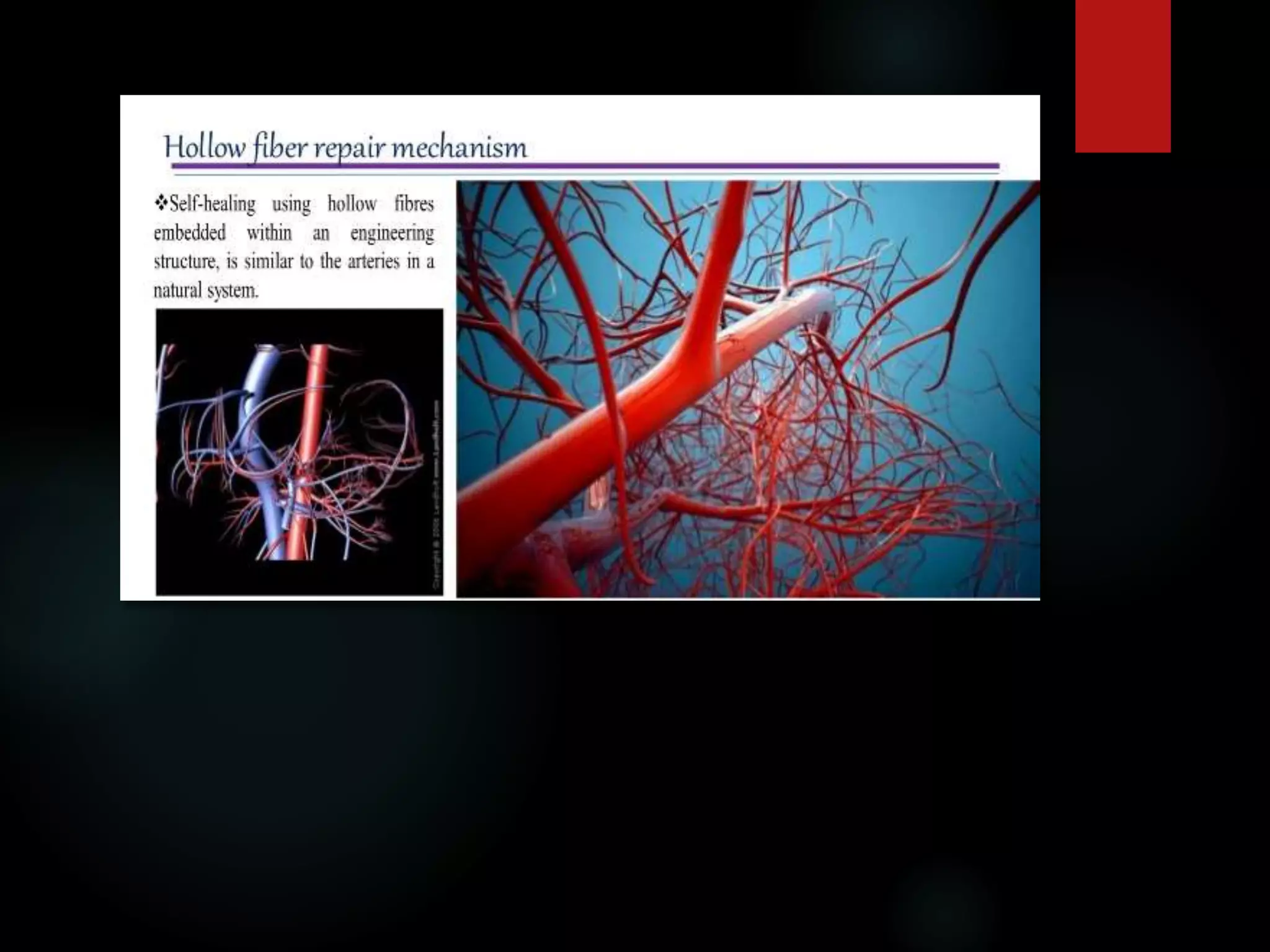 SELF-HEALING POLYMER.pptx