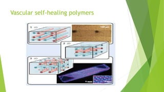 Vascular self-healing polymers
 