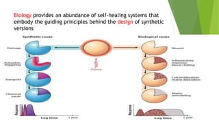 Biology provides an abundance of self-healing systems that
embody the guiding principles behind the design of synthetic
versions
 