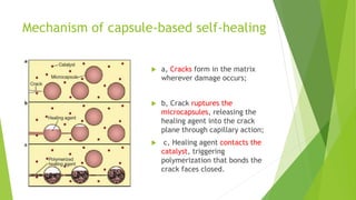 Mechanism of capsule-based self-healing
 a, Cracks form in the matrix
wherever damage occurs;
 b, Crack ruptures the
microcapsules, releasing the
healing agent into the crack
plane through capillary action;
 c, Healing agent contacts the
catalyst, triggering
polymerization that bonds the
crack faces closed.
 