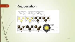 Self healing technology for flexible pavements | PPTX