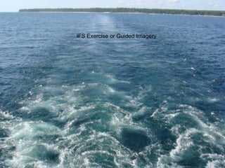 IFS Exercise or Guided Imagery

 