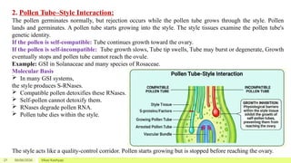 Self Incompatibility Types and Mechanisms in Plants | PPTX