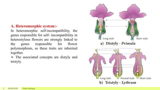Self Incompatibility Types and Mechanisms in Plants | PPTX