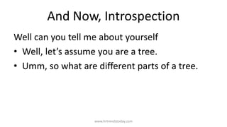 Self Inspection and Introspection | PPTX