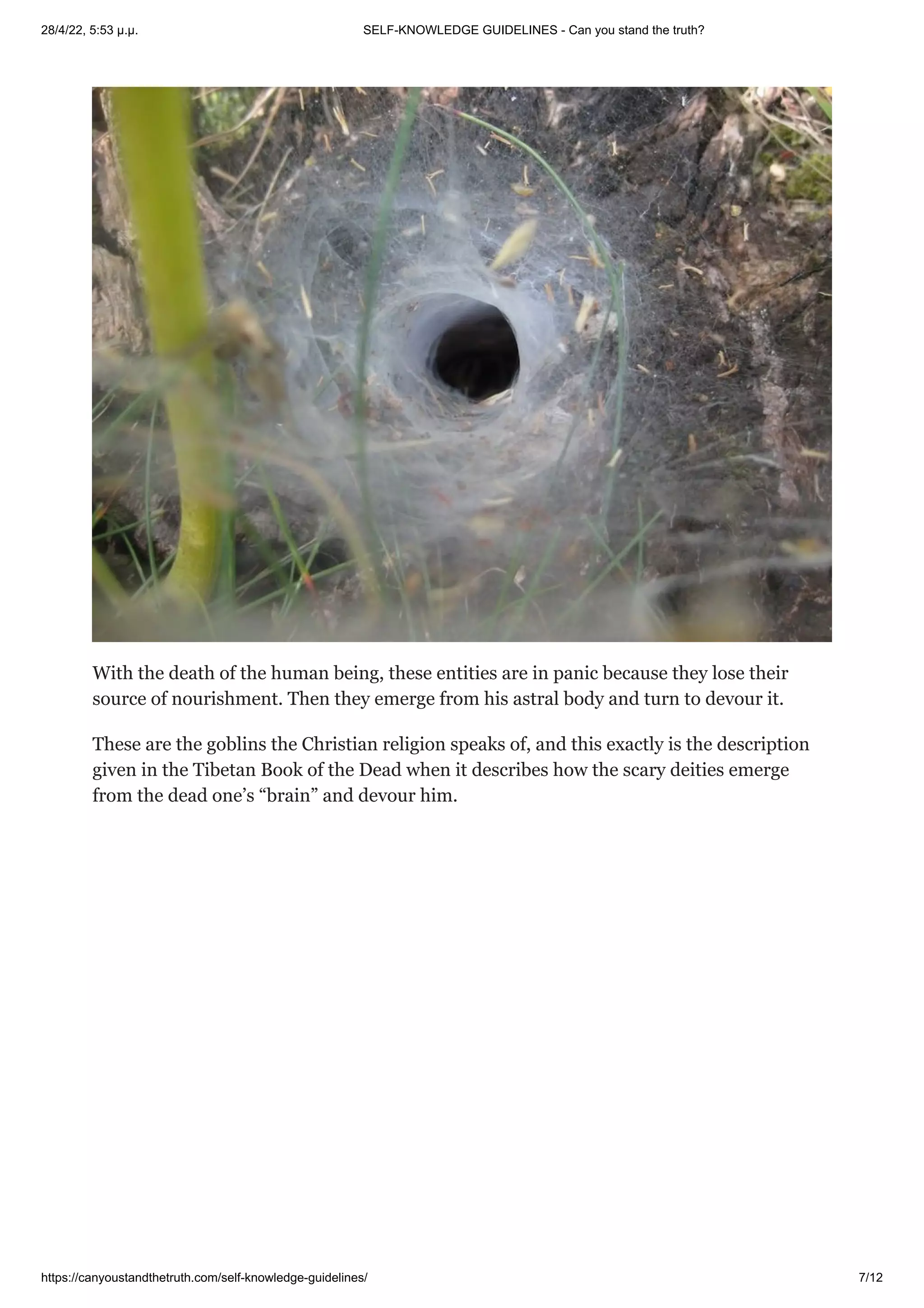 28/4/22, 5:53 μ.μ. SELF-KNOWLEDGE GUIDELINES - Can you stand the truth?
https://canyoustandthetruth.com/self-knowledge-guidelines/ 7/12
With the death of the human being, these entities are in panic because they lose their
source of nourishment. Then they emerge from his astral body and turn to devour it.
These are the goblins the Christian religion speaks of, and this exactly is the description
given in the Tibetan Book of the Dead when it describes how the scary deities emerge
from the dead one’s “brain” and devour him.
 