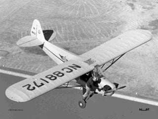 © NBT All Rights Reserved.
 