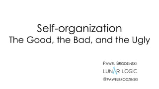 Self-organization
The Good, the Bad, and the Ugly
PAWEL BRODZINSKI
@PAWELBRODZINSKI
 