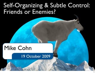 Self-Organizing & Subtle Control:
Friends or Enemies?
19 October 2009
Mike Cohn
1
 