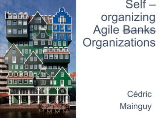 Self –
organizing
Agile Banks
Organizations
Cédric
Mainguy
 