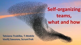 Self-organizing
teams,
what and how
Tatsiana Trubilka, T-Mobile
Vasilij Savunov, ScrumTrek
 