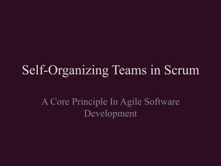 Self-Organizing Teams in Scrum A Core Principle In Agile Software Development 