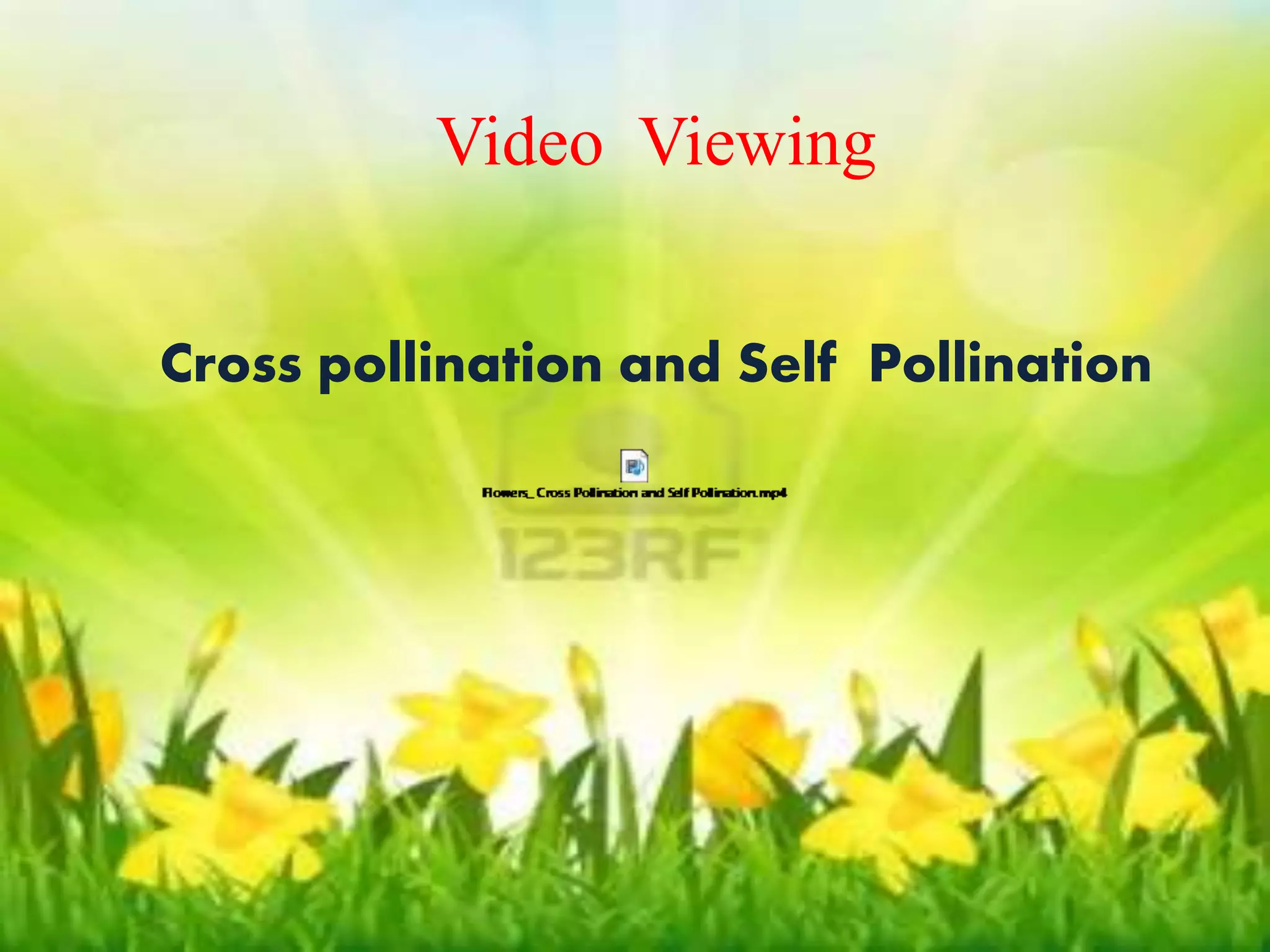Video Viewing 
Video Viewing 
Cross pollination and Self Pollination 
Cross pollination and Self Pollination 
 