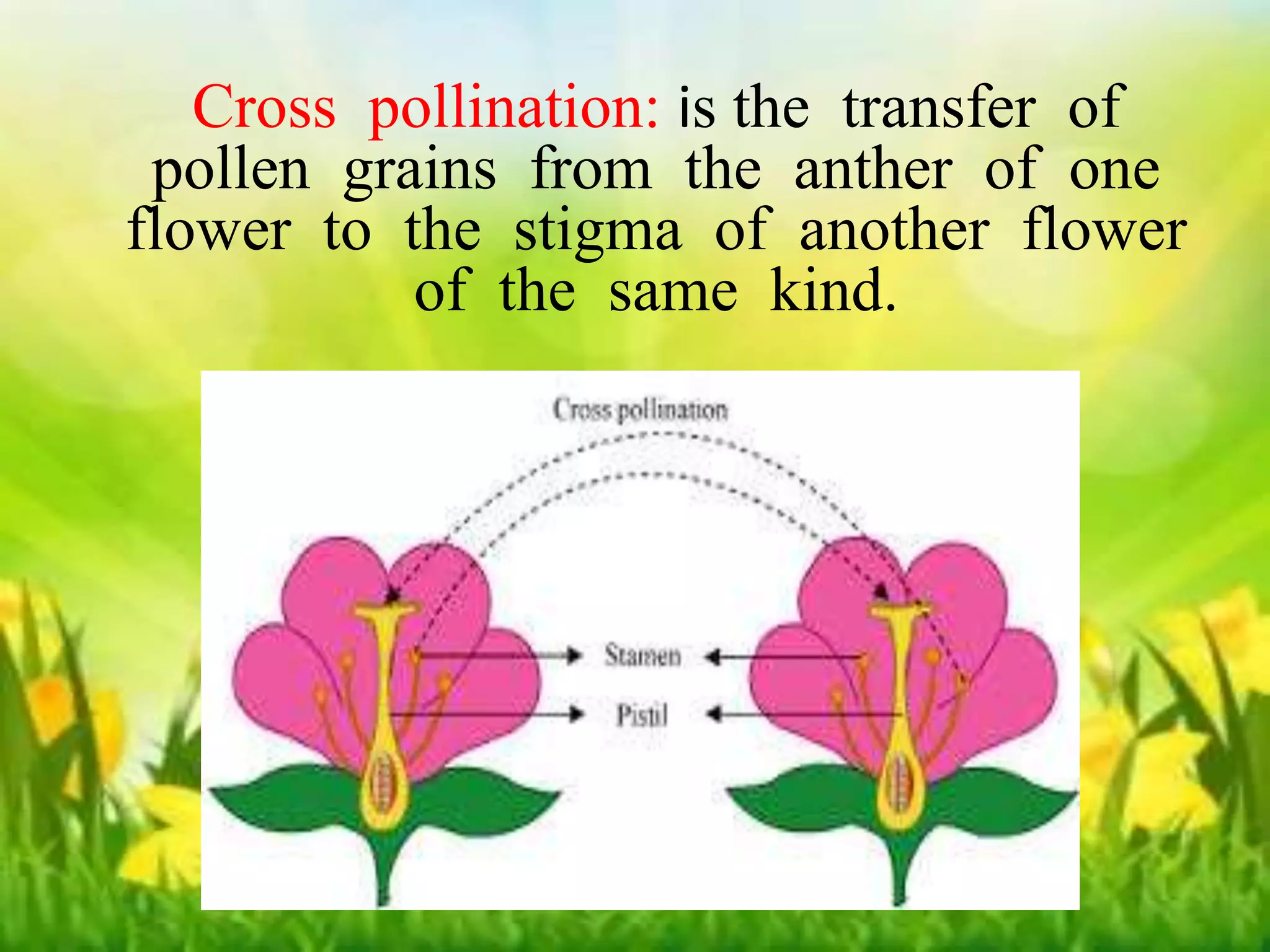 Cross pollination: is the transfer of 
pollen grains from the anther of one 
flower to the stigma of another of the 
Cross pollination: is the transfer of 
pollen grains from the anther of one 
flower to the stigma of another flower 
of the same kind. 
same kind. 
 