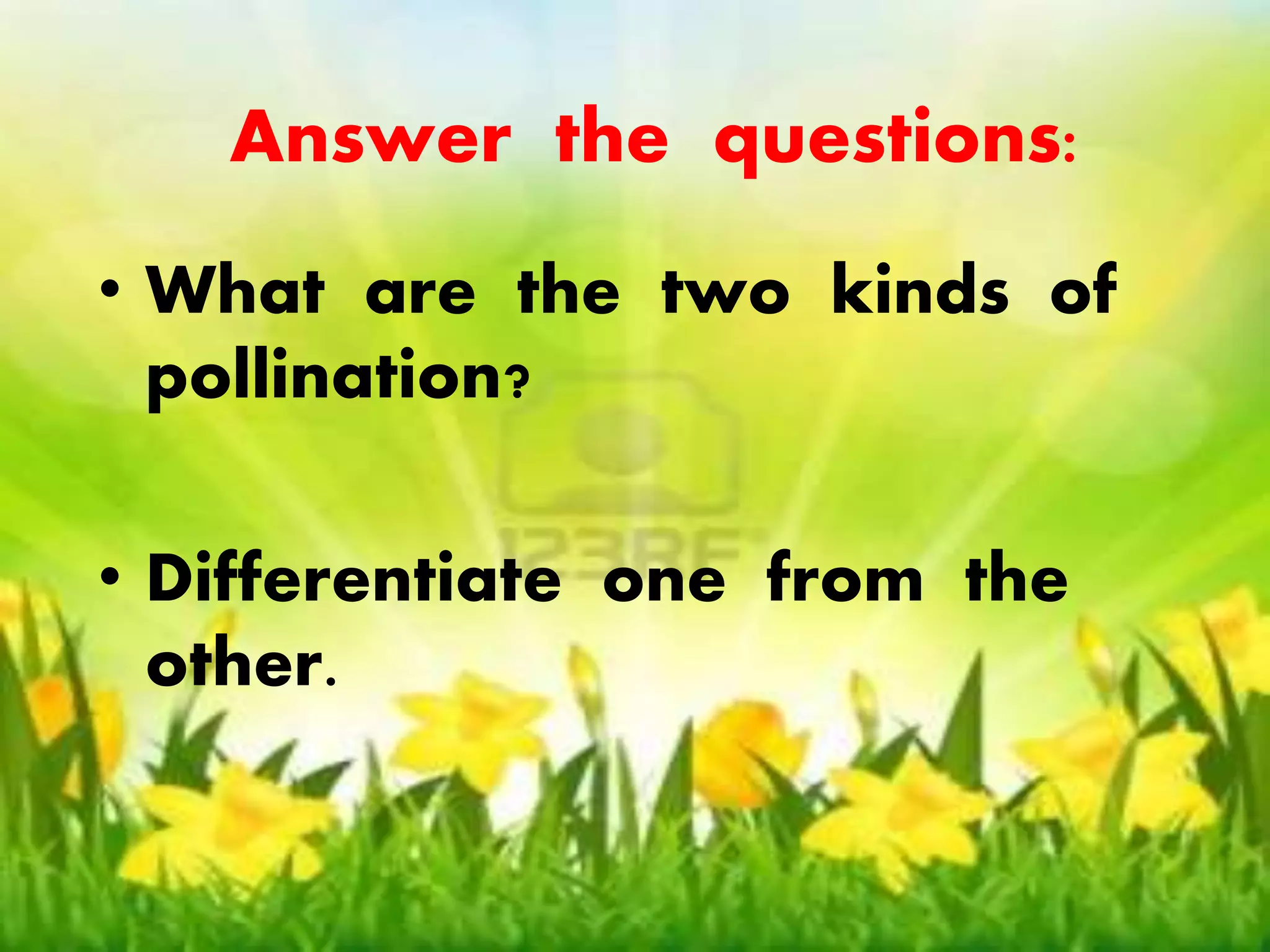 Answer the questions: 
Answer the questions: 
• What are the two kinds of 
pollination? 
• What are the two kinds of 
pollination? 
• Differentiate one from the 
other. 
• Differentiate one from the 
other. 
 
